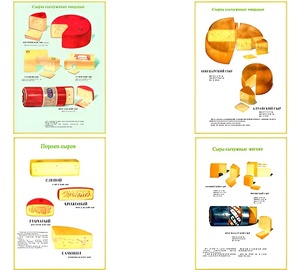 Плакаты ПРОФТЕХ "Ассортимент сыров" (9 пл, винил, 70х100) - fgospostavki.ru - Белово