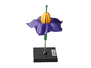 Модель цветка картофеля - fgospostavki.ru - Белово