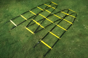 Лестница для тренировок (вариант 1) - fgospostavki.ru - Белово