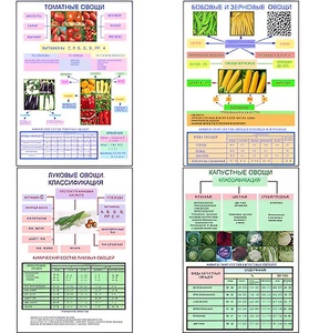 Плакаты ПРОФТЕХ "Классификация овощей" (11 пл, винил, 70х100) - fgospostavki.ru - Белово