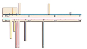 Модель-аппликация "Расстояния во Вселенной" - fgospostavki.ru - Белово