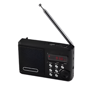 Радиоприемник цифровой с крупными кнопками - fgospostavki.ru - Белово