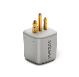 FM-приемник Roger X - fgospostavki.ru - Белово