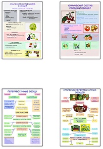 Плакаты ПРОФТЕХ "Классификация овощей и переработка" (8 пл, винил, 70х100) - fgospostavki.ru - Белово