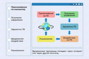 Интерактивные курсы. Информатика 10 класс . Базовый. - fgospostavki.ru - Белово