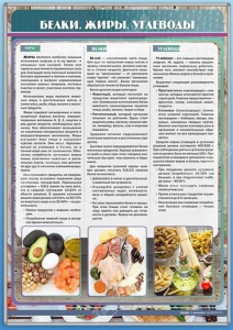 Стенд "Белки. Жиры. Углеводы" - fgospostavki.ru - Белово