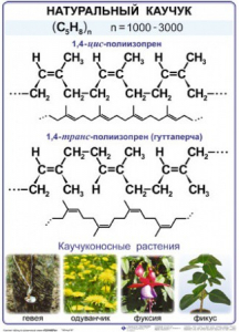 Комплект демонстрационных таблиц по химии "Полимеры" (комплект 12 таблиц) - fgospostavki.ru - Белово
