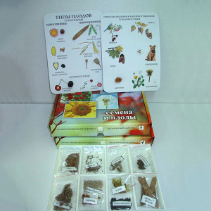 Коллекция "Семена и плоды с раздаточным материалом" - fgospostavki.ru - Белово