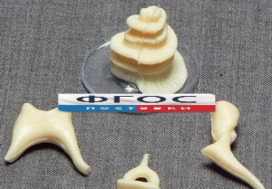 Модель "Косточки слуховые" - fgospostavki.ru - Белово