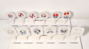 Модель "Митоз и мейоз клетки" - fgospostavki.ru - Белово