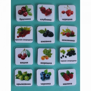 Набор карточек "Ягоды" - fgospostavki.ru - Белово