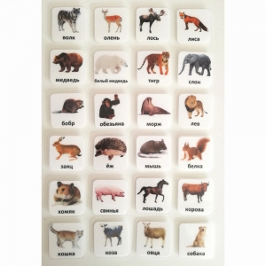 Набор карточек "ЖИВОТНЫЕ" - fgospostavki.ru - Белово