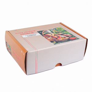 Набор муляжей грибов съедобных и ядовитых - fgospostavki.ru - Белово