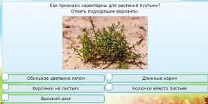 Интерактивные курсы. Окружающий мир 3 класс . Базовый. - fgospostavki.ru - Белово