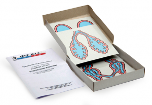 Модель-аппликация "Развитие легких позвоночных животных" (набор из 5 карт) - fgospostavki.ru - Белово