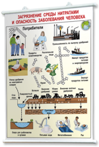 Плакаты по общей экологии для оформления кабинета. - fgospostavki.ru - Белово