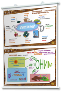 Плакаты по русскому языку для оформления кабинета. - fgospostavki.ru - Белово