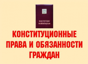 Комплект плакатов "Конституционные права и обязанности граждан" - fgospostavki.ru - Белово