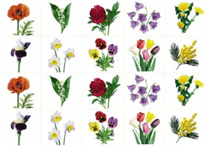 Комплект карточек "Запоминай, играй, считай" - Цветы - fgospostavki.ru - Белово