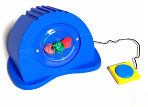 Игра «Световое шоу» №1 - fgospostavki.ru - Белово