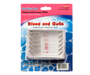 Набор микропрепаратов для микроскопа №1 «Человек» - fgospostavki.ru - Белово