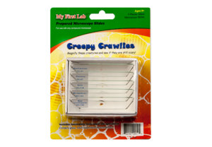 Набор микропрепаратов для микроскопа №2 «Насекомые» - fgospostavki.ru - Белово