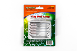 Набор микропрепаратов для микроскопа №7 «Лягушка» - fgospostavki.ru - Белово