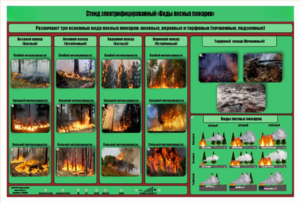 Стенд-планшет электрифицированный «Виды лесных пожаров»  - fgospostavki.ru - Белово