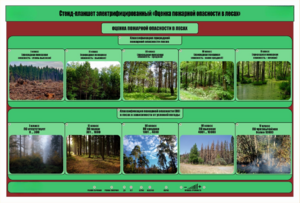 Стенд-планшет электрифицированный «Оценка пожарной опасности в лесах»  - fgospostavki.ru - Белово