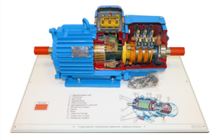 Стенд-планшет «Асинхронный двигатель с фазным ротором» - fgospostavki.ru - Белово