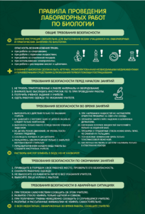 Стенд "Правила выполнения лабораторных работ по биологии" Вариант 1 - fgospostavki.ru - Белово