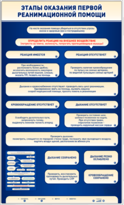 Электрифицированный стенд-тренажер "Этапы оказания первой реанимационной помощи" - fgospostavki.ru - Белово