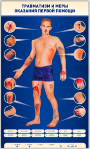 Электрифицированный стенд-тренажер "Травматизм и меры оказания первой помощи" - fgospostavki.ru - Белово