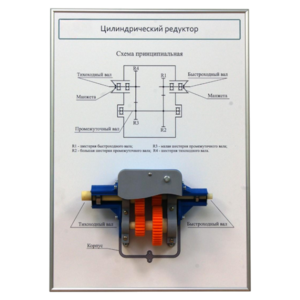 Плакат планшет с демонстрационной моделью «Цилиндрический редуктор» - fgospostavki.ru - Белово