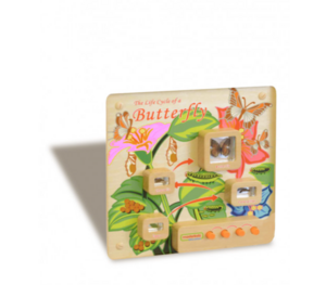 Панель «Жизненный цикл бабочки» - fgospostavki.ru - Белово