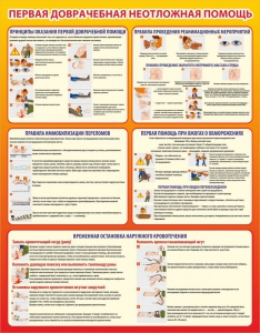Стенд "Первая доврачебная неотложная помощь" - fgospostavki.ru - Белово