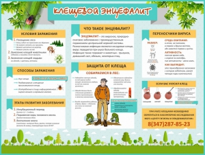 Стенд "Клещевой энцефалит" - fgospostavki.ru - Белово