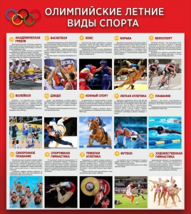 Стенд "Олимпийские летние виды спорта" - fgospostavki.ru - Белово