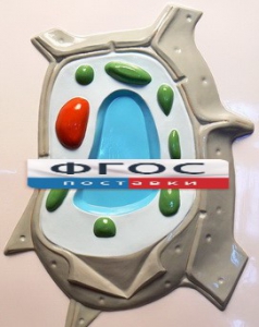 Модель барельефная "Растительная клетка" - fgospostavki.ru - Белово