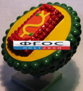 Модель "Вирус СПИДа" - fgospostavki.ru - Белово