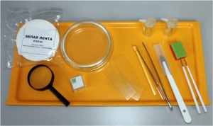 Набор для препарирования по биологии - fgospostavki.ru - Белово