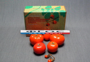 Набор муляжей "Дикая форма и культурные сорта томатов" - fgospostavki.ru - Белово