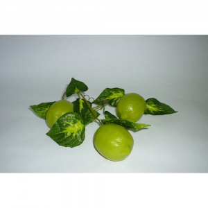 Ветка муляжей "Лайм" - fgospostavki.ru - Белово