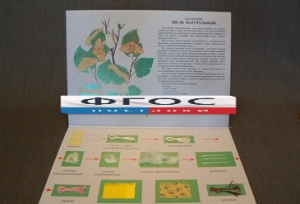 Коллекция "Шелк для начальной школы" - fgospostavki.ru - Белово