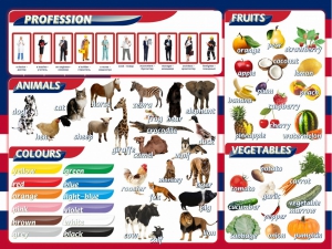 Стенд "Цвета, животные, профессии, фрукты, овощи" - fgospostavki.ru - Белово