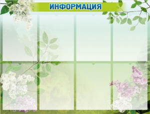 Стенд "Информация" Вариант 13 - fgospostavki.ru - Белово