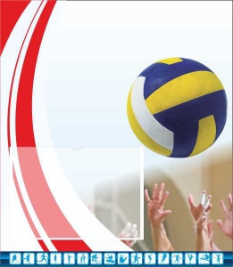 Стенд "Спортивный (волейбол)" - fgospostavki.ru - Белово