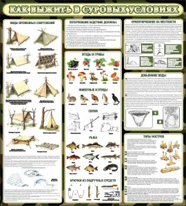 Стенд информационный "Как выжить в суровых условиях" - fgospostavki.ru - Белово