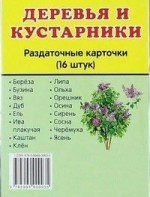 Раздаточные карточки "Деревья и кустарники" - fgospostavki.ru - Белово