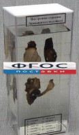 Влажный препарат "Внутреннее строение брюхоногого моллюска" - fgospostavki.ru - Белово